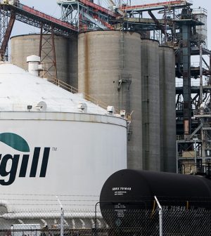 Cargill-Vagas Cargill-Cargil Mairinque-Cargill está contratando