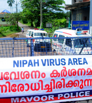 Vírus-Vírus Nipah