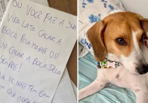 Cachorro-Ameaça-São Paulo