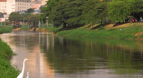Rio Sorocaba Amanhece Com Manchas Coloridas