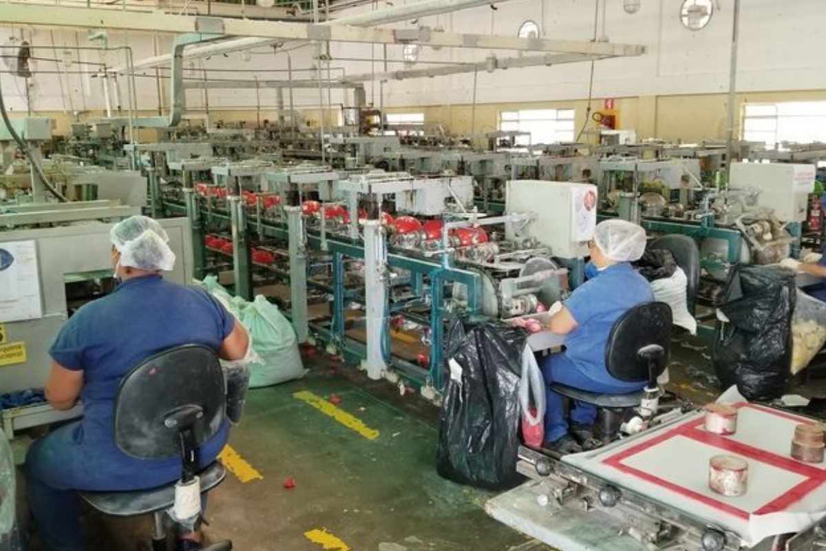 Fábrica Da Látex Abre Vagas Em São Roque Para Homens E Mulheres No Setor De Produção