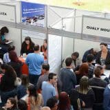 Feirão De Emprego De Sorocaba Reúne Vagas Efetivas Para Diversas Empresas Sem Experiência