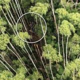 Helicóptero Desaparecido Em Sp É Localizado Após 12 Dias