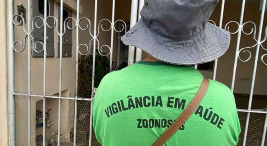 Sorocaba Registra 106 Casos De Dengue Em 2024 Somente Em Janeiro