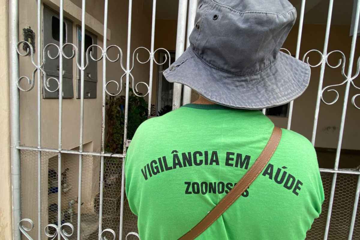 Sorocaba Registra 106 Casos De Dengue Em 2024 Somente Em Janeiro