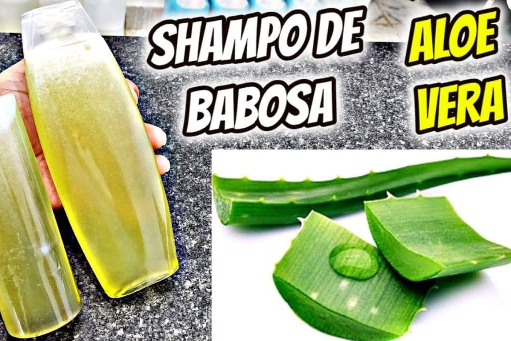 Shampoo De Babosa Caseiro