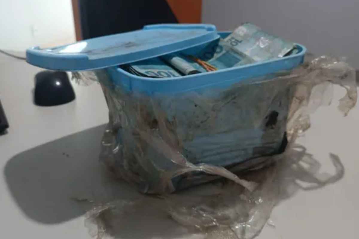 Idoso Encontra R$ 60 Mil Reais Em Porte De Sorvete Enterrado No Quintal