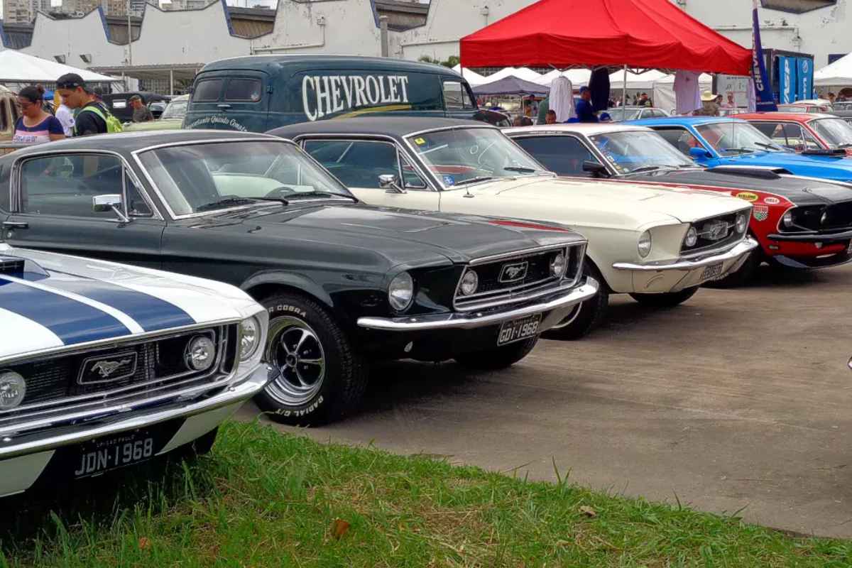 Museu Do Carro Em São Roque, Dream Car Museum Terá Exposição De Mustang E Mini Cooper Sábado (03)