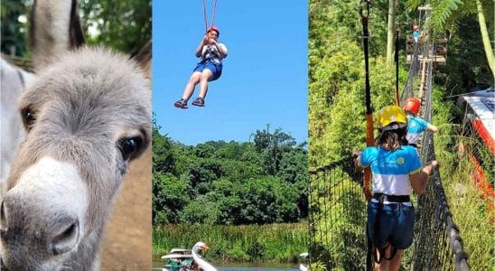 Parque Rural Em São Roque, Fazenda Angolana Oferece Diversão De Carnaval Para Crianças E Adultos Com Ingressos A R$ 15