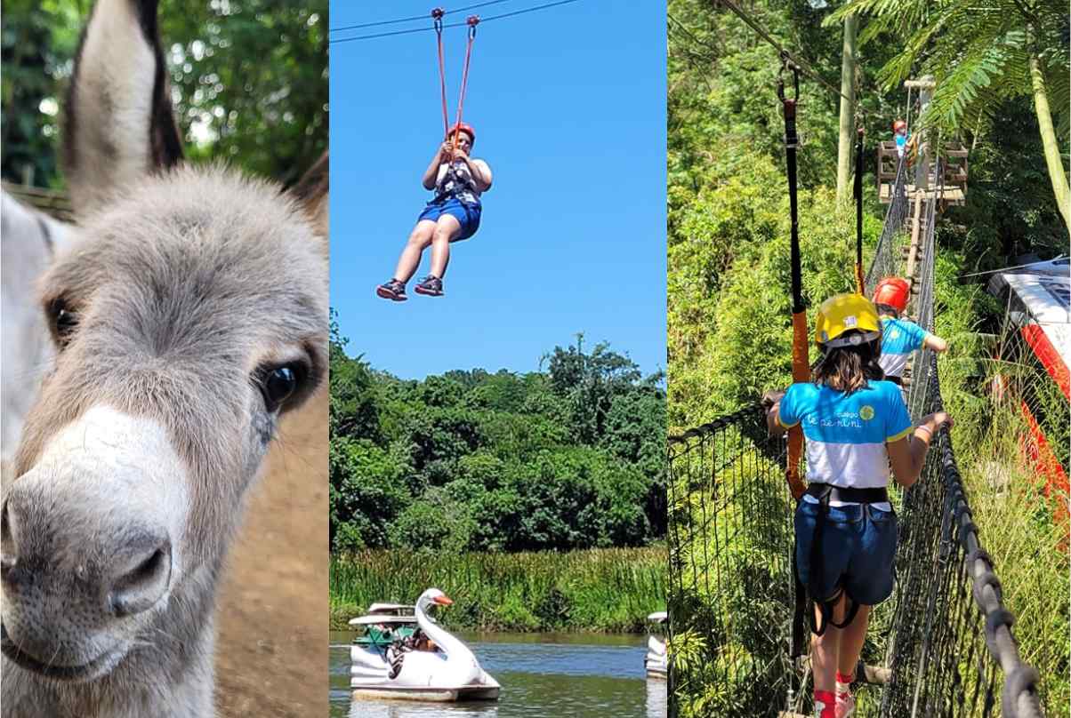 Parque Rural Em São Roque, Fazenda Angolana Oferece Diversão De Carnaval Para Crianças E Adultos Com Ingressos A R$ 15