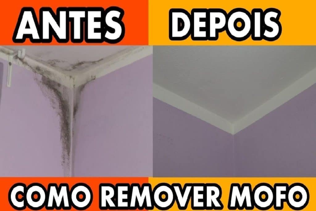 Remover Mofo Da Parede