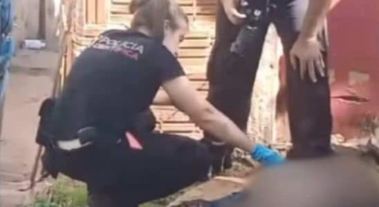 Pitbull É Morto Brutalmente Com Golpes De Garfo No Interior De São Paulo