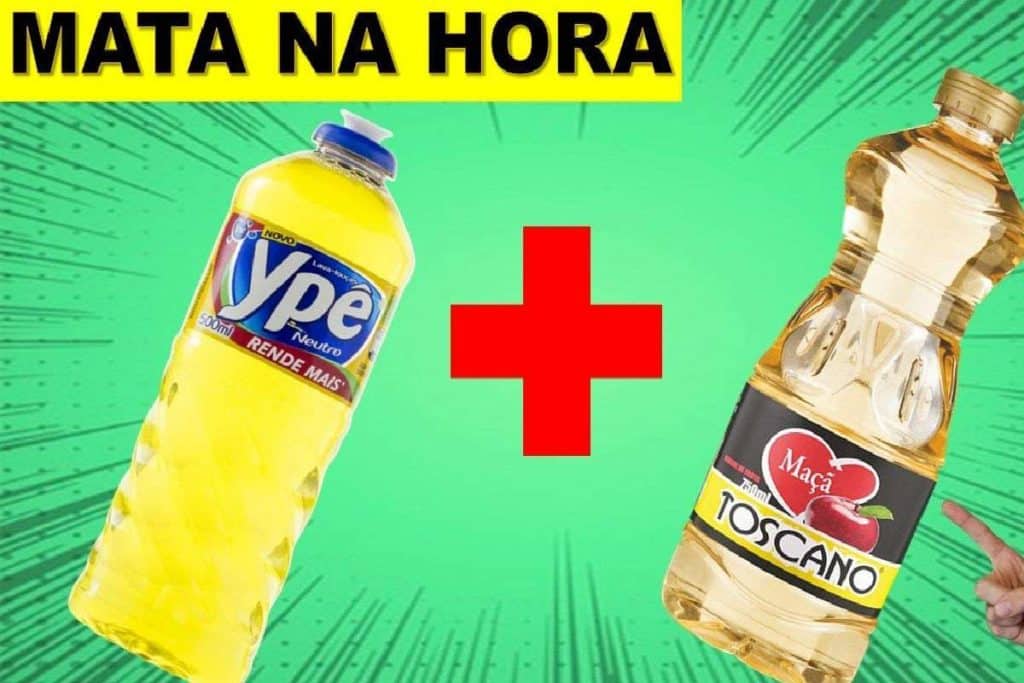 Dica Para Acabar Com As Formigas