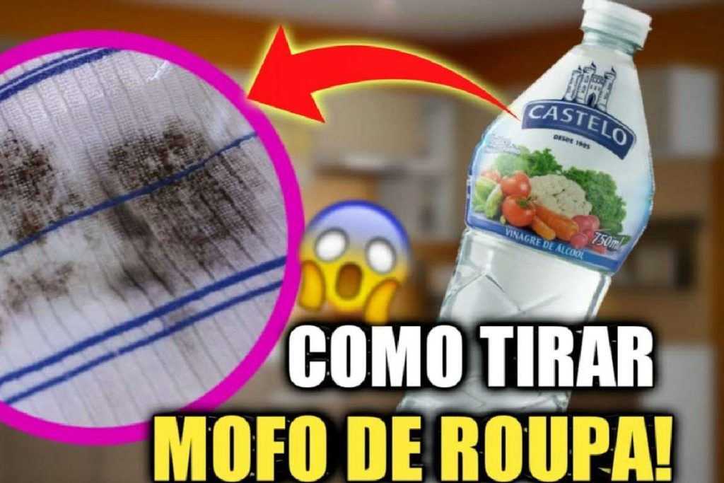 Dica Para Tirar Mofo Das Roupas