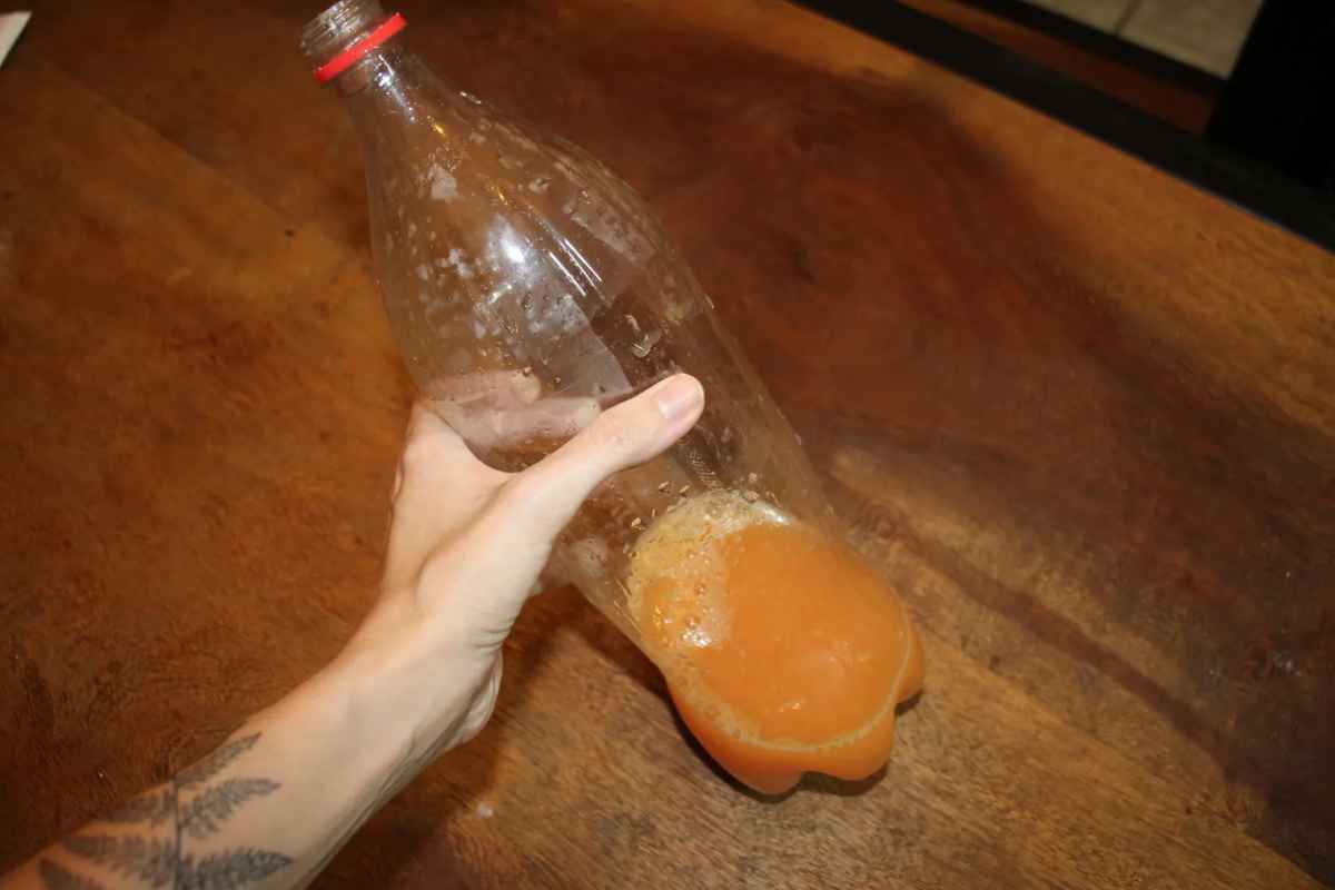 Essa Mistura É Melhor Armadilha Que Uso Em Casa Para Acabar Com Moscas