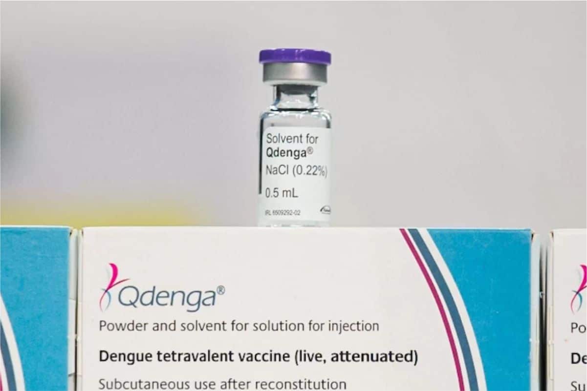 Governo Libera Vacina Para Dengue Em São Roque, Mairinque, Sorocaba E Mais 11 Cidades