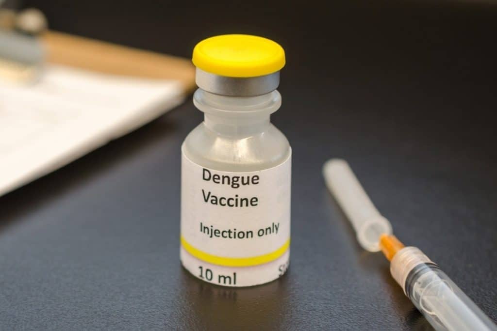 Região de Campinas receberá vacinas contra a Dengue