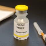 Região De Campinas Receberá Vacinas Contra A Dengue