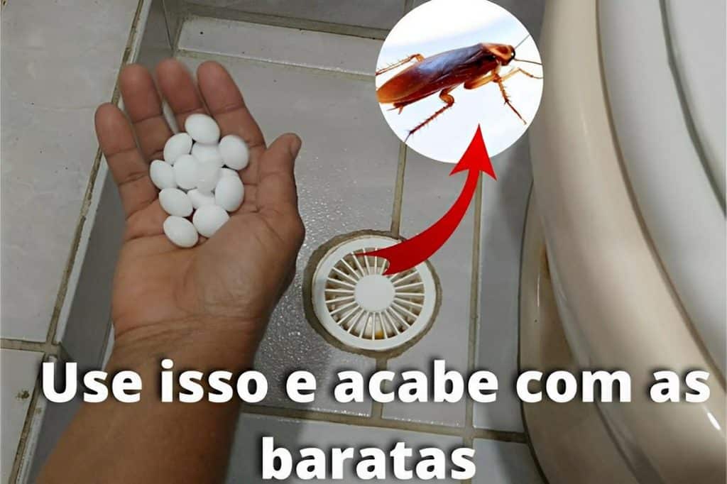 Como Acabar Com As Baratas Do Banheiro