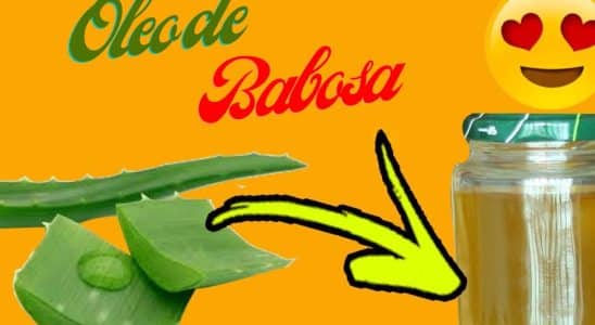 Óleo De Babosa Caseiro