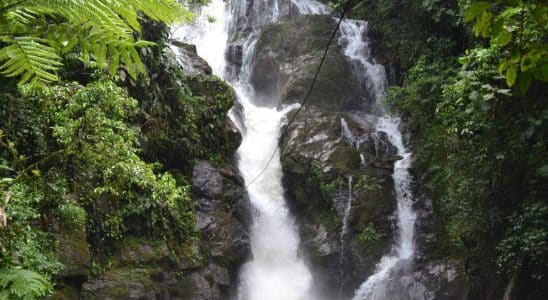 Cachoeira Do Chá Em Tapiraí