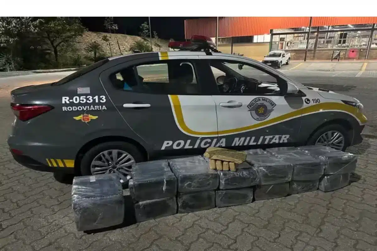 Homem É Preso Com 268Kg De Maconha Em Caminhão De Mudança Em Boituva 7 Homem É Preso Com 268Kg De Maconha Em Caminhão De Mudança Em Boituva