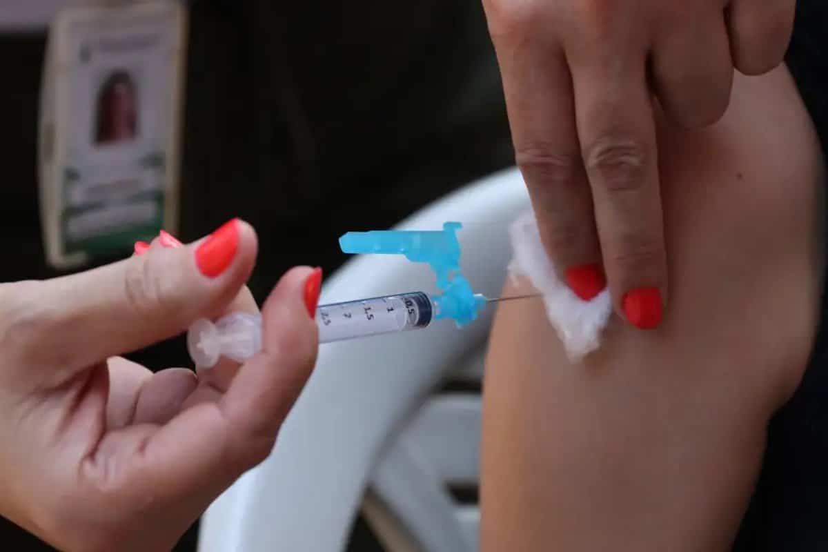 Vacina Contra Dengue Em São Roque Chega Aos Postos De Saúde