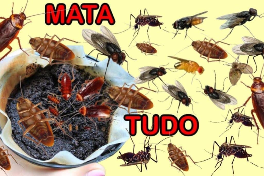 Como Espantar Os Insetos