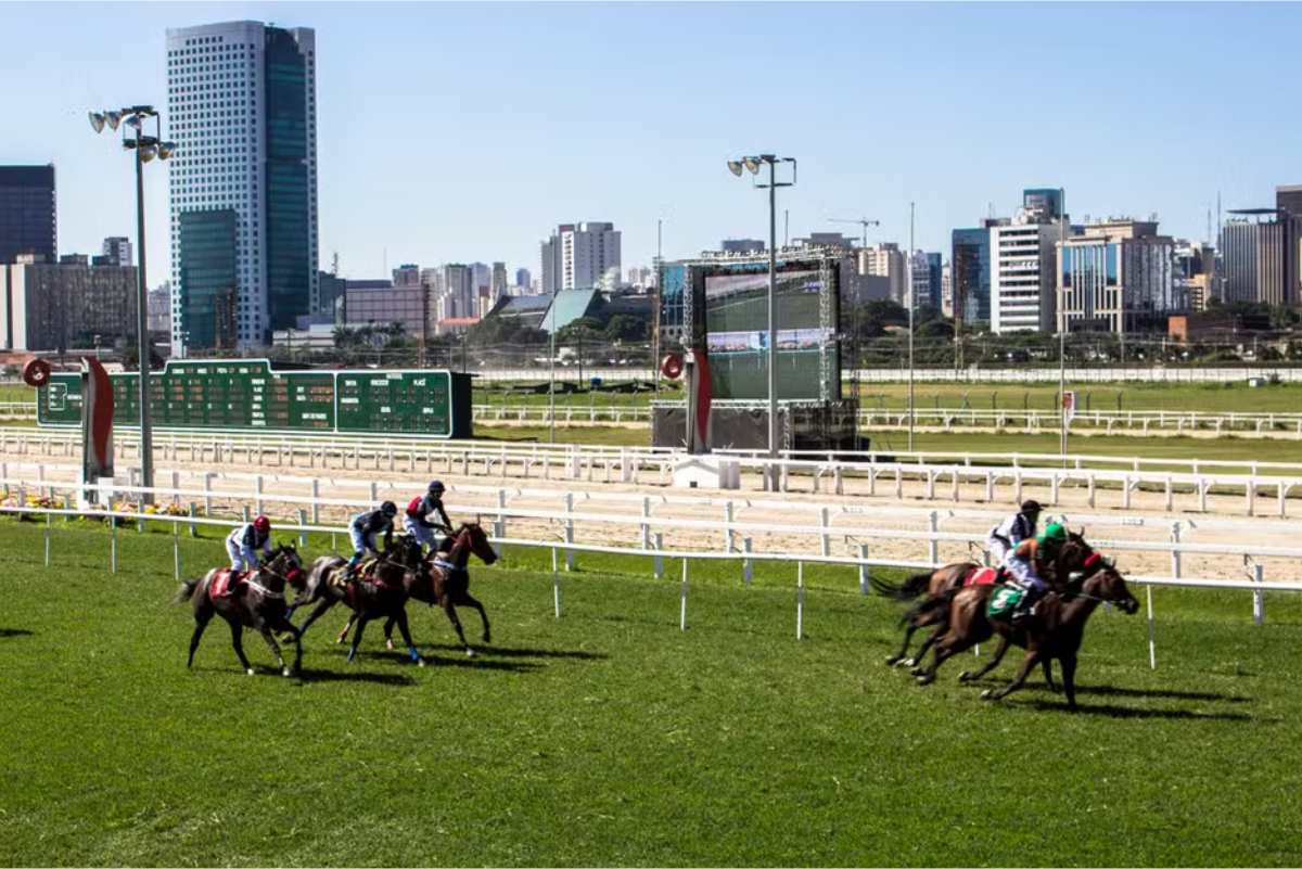 Fim Do Jockey Club São Paulo. Pl Que Proíbe Corridas De Cavalo É Aprovado