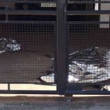 Mulher É Encontrada Morta Sem A Cabeça Em Estacionamento De Prédio Em São Carlos