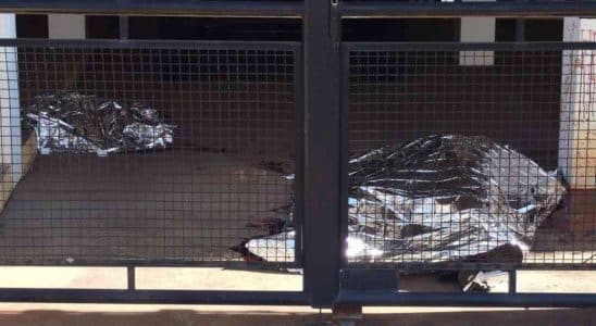 Mulher É Encontrada Morta Sem A Cabeça Em Estacionamento De Prédio Em São Carlos