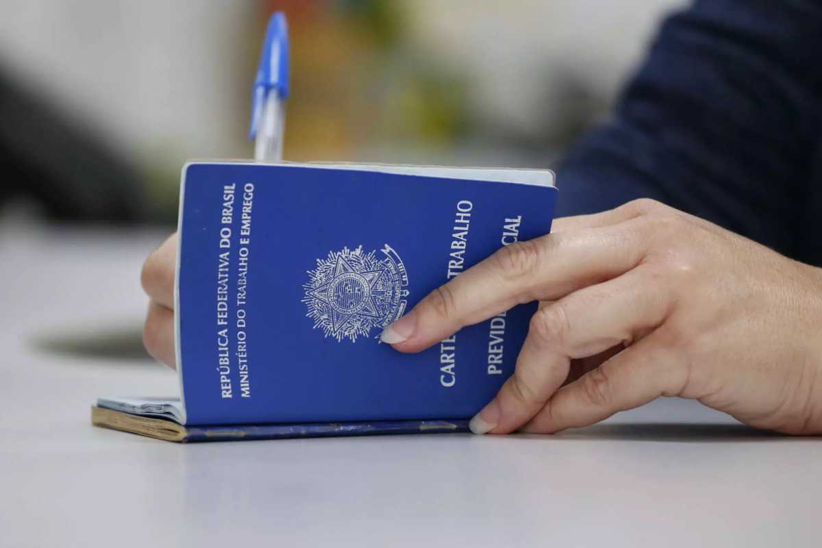 Número De Vagas De Emprego No Setor Industrial Cresce Em São Roque Segundo Dados Do Caged