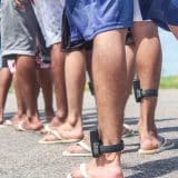 Presos Serão Liberados Em Sp No Dia 11 De Junho, Mesmo Com Fim Das Saidinhas Aprovada Pelo Governo