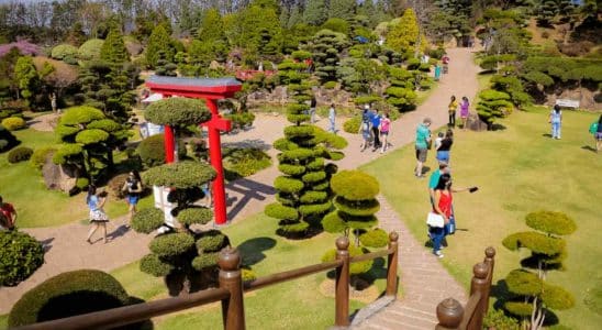 Parque Maeda Itu Jantar Dançante