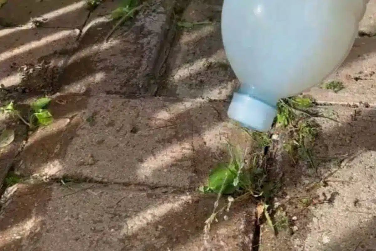 Não Arranque Mais Os Matinhos Do Quintal E Calçada Com As Mãos, Faça Esse Mata Mato Caseiro 7 Mata Mato Caseiro