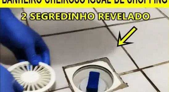 Como Deixar O Banheiro Cheiroso Igual De Shopping 5 Banheiro Cheiroso 1907