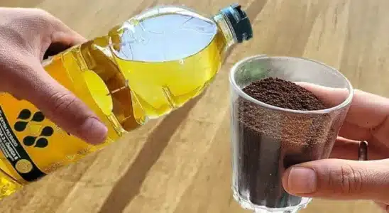 Veja Como Espantar Mosquitos Da Cozinha Montando Uma Mistura Com 3 Itens Que Você Tem Em Casa 10 Espantar-Os-Mosquitos-Da-Cozinha-2009