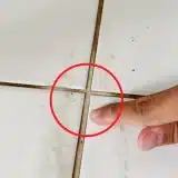 Como Limpar Rejunte Encardido: Misturinha Caseira Que Faz Milagre Na Hora Da Limpeza 1 Como-Limpar-Rejunte-Encardido-0711