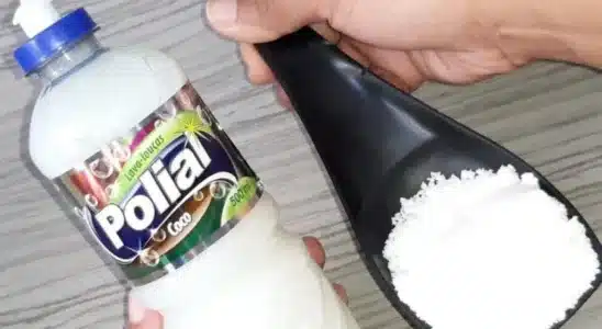 Misturinha Para Limpar Banheiro: Faxineira De Shopping Me Ensinou O Segredo 11 Misturinha Para Limpar Banheiro 0611