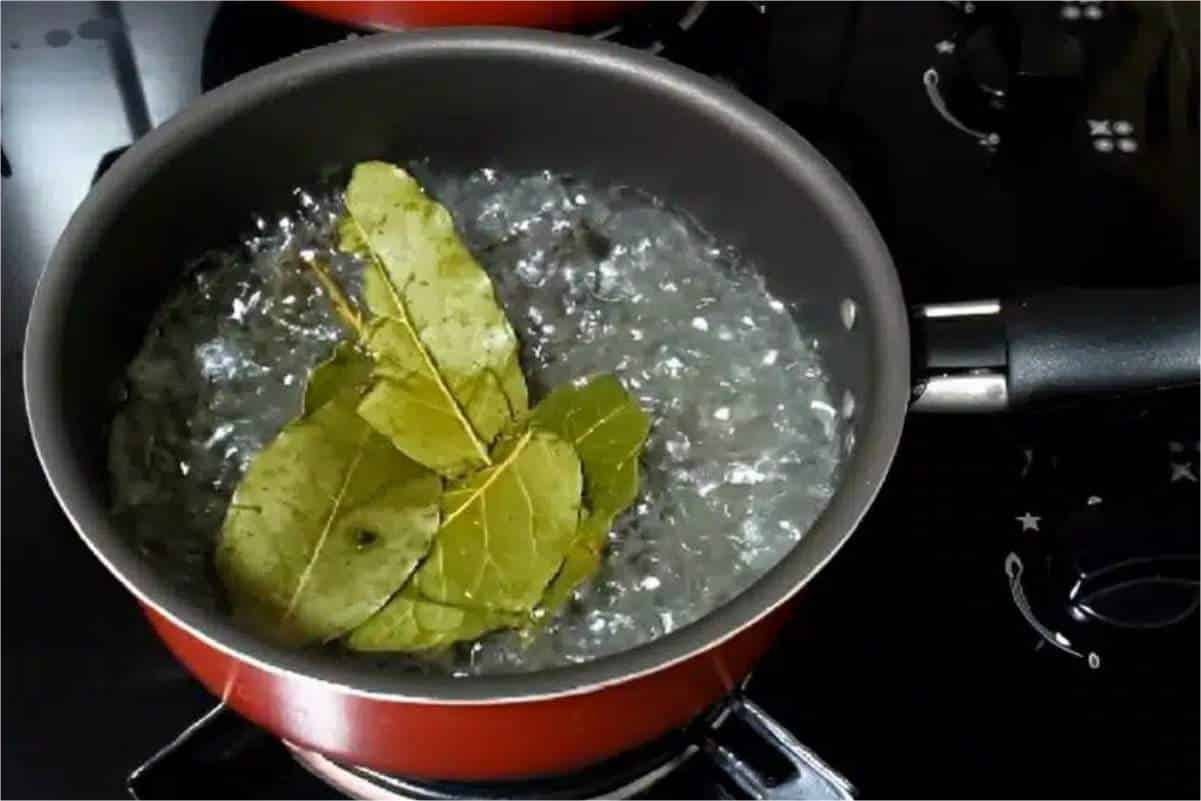 Acabar Com Mosquitos