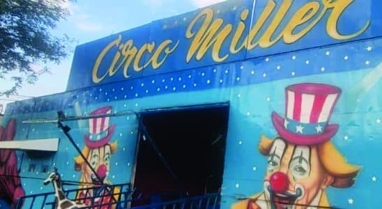 Circo Miller Encerra Temporada Em São Roque Com Ingressos A R$ 10
