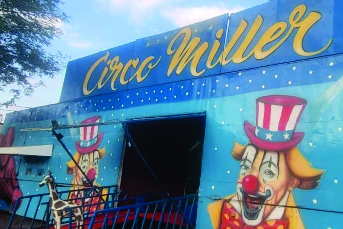 Circo Miller Encerra Temporada Em São Roque Com Ingressos A R$ 10
