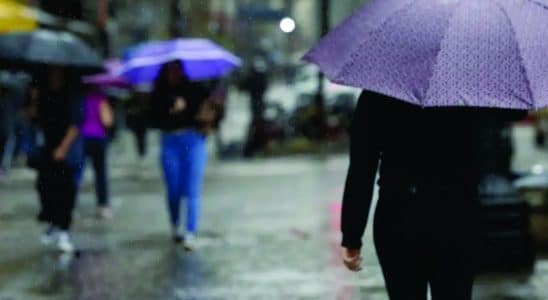 Sistema De Baixa Pressão Vai Trazer Muita Chuva Ao Interior De São Paulo