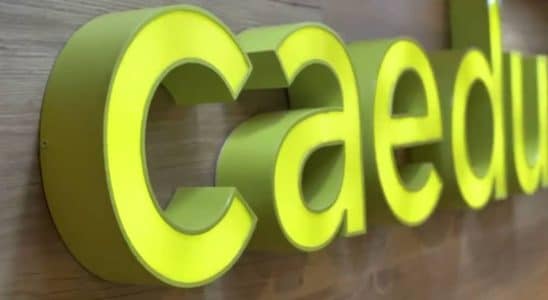 Caedu Abre Vagas Para Diversos Setores Em São Roque, Itapevi, Cotia E Uberlândia