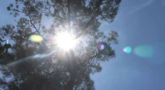 Calor Infernal Não Dá Trégua E Continua No Final De Semana