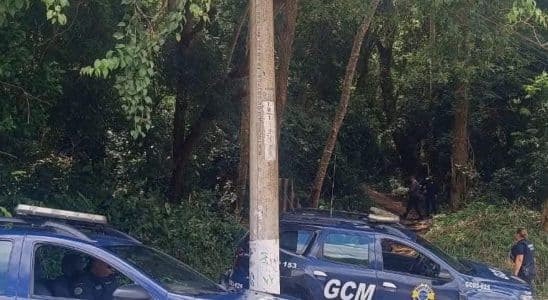 Corpo De Mulher De Aproximadamente 20 Anos É Encontrado Em Área De Mata