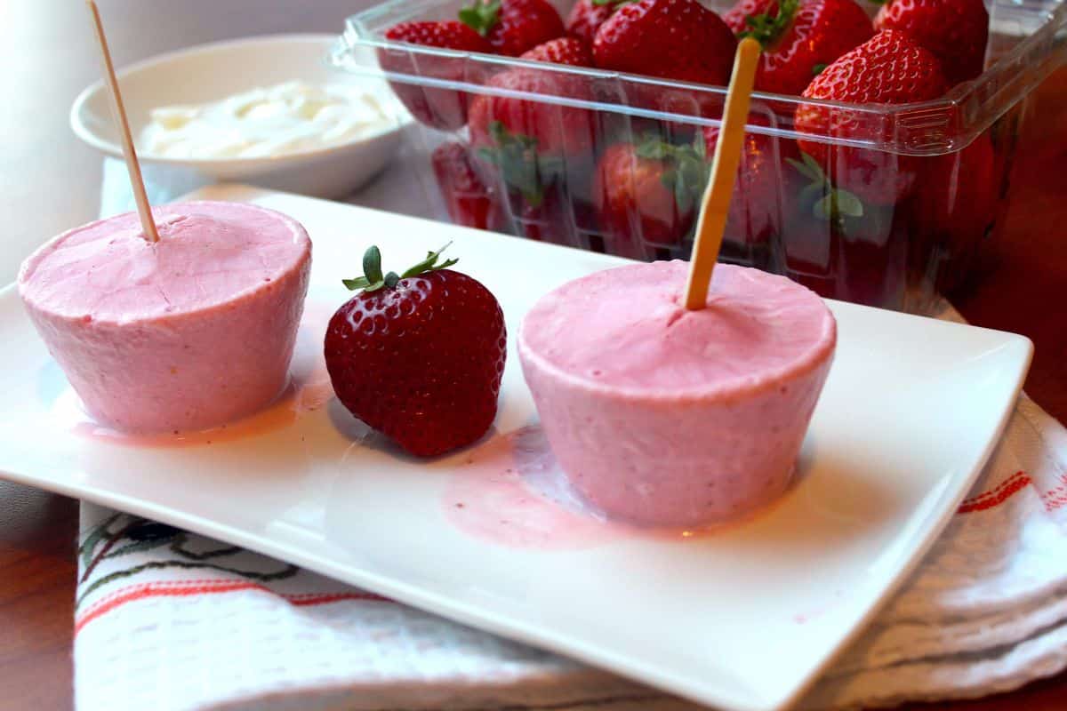 Picolé De Iogurte Fitness