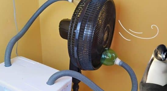 Ar-Condicionado Caseiro