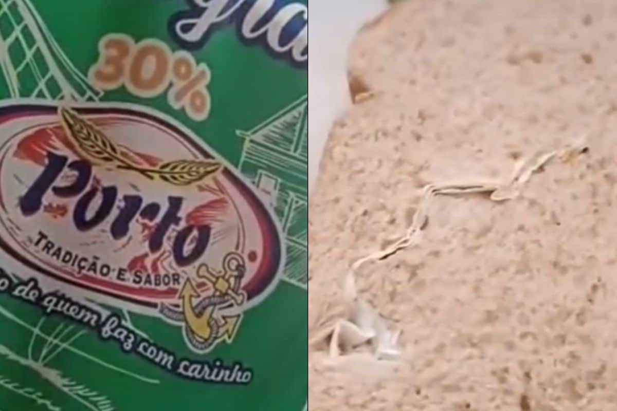 Mulher Compra Pão Recheado Com Papel Em Sp Faz Vídeo Expondo Situação