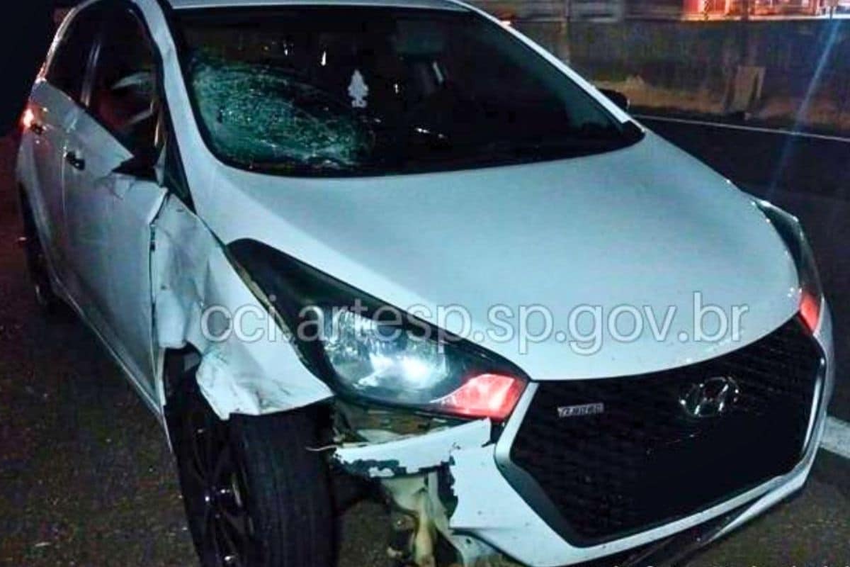 Pedestre Morre Atropelado Na Rodovia Raposo Tavares No Km 104
